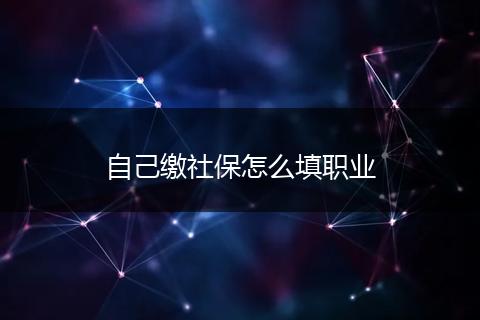 自己缴社保怎么填职业