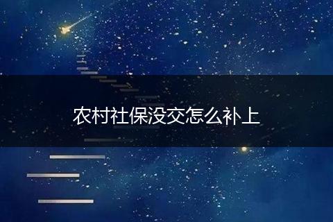 农村社保没交怎么补上