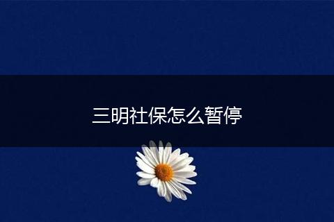 三明社保怎么暂停
