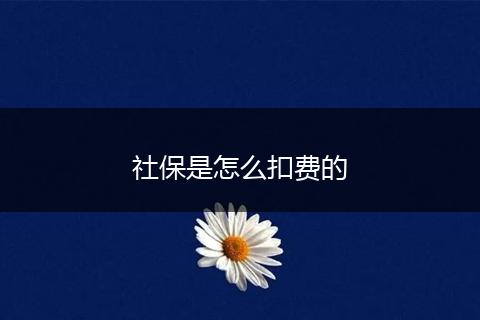 社保是怎么扣费的