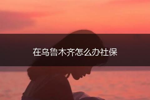 在乌鲁木齐怎么办社保