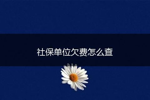 社保单位欠费怎么查