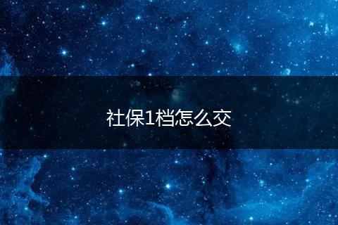 社保1档怎么交