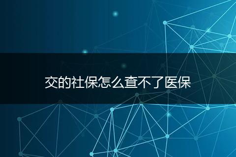 交的社保怎么查不了医保