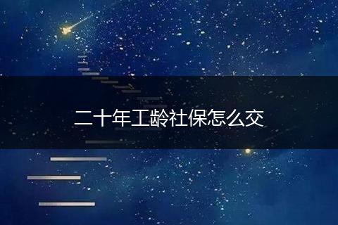 二十年工龄社保怎么交