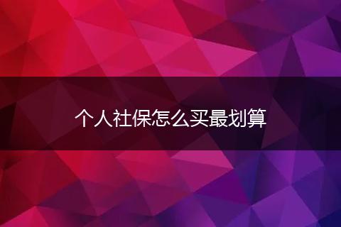 个人社保怎么买最划算