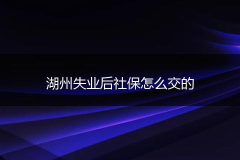 湖州失业后社保怎么交的