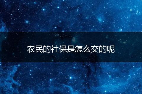 农民的社保是怎么交的呢