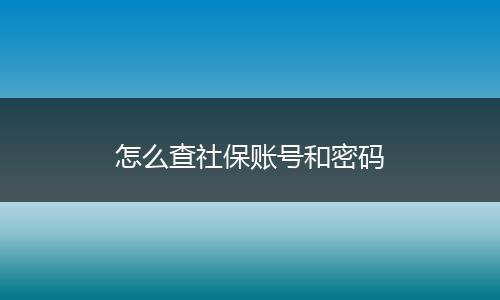 怎么查社保账号和密码
