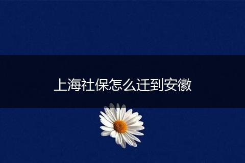 上海社保怎么迁到安徽