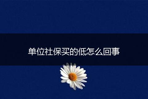 单位社保买的低怎么回事