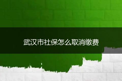 武汉市社保怎么取消缴费