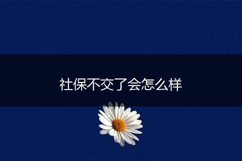 社保不交了会怎么样