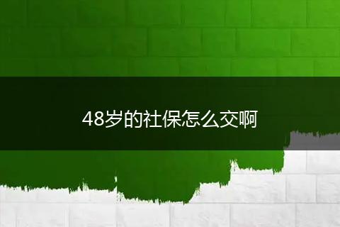 48岁的社保怎么交啊