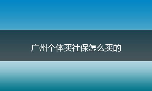 广州个体买社保怎么买的