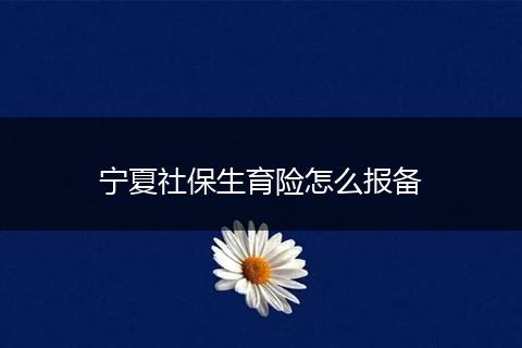 宁夏社保生育险怎么报备