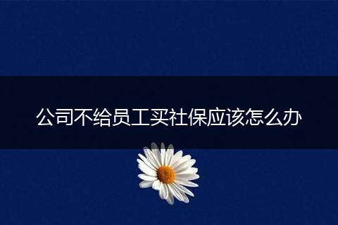 公司不给员工买社保应该怎么办