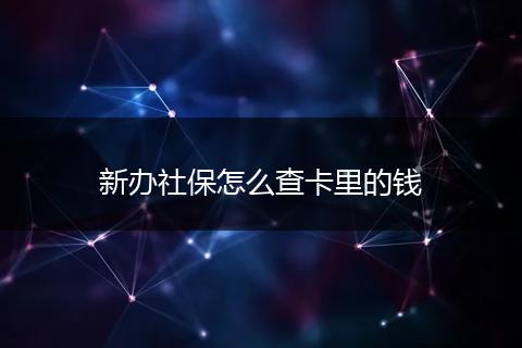 新办社保怎么查卡里的钱