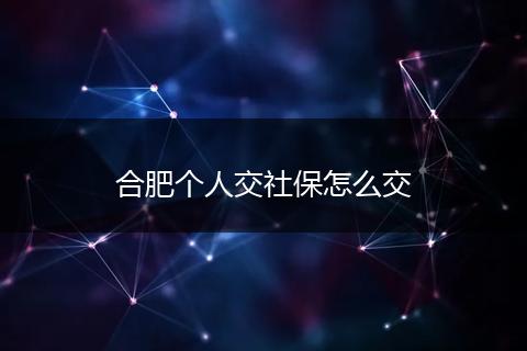 合肥个人交社保怎么交