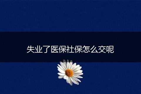 失业了医保社保怎么交呢