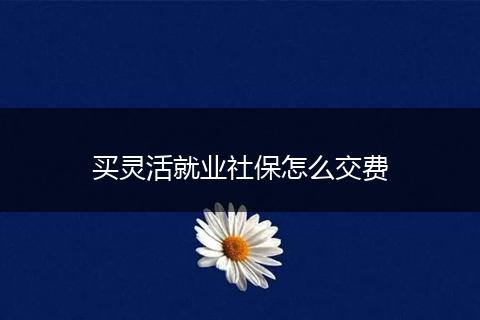 买灵活就业社保怎么交费