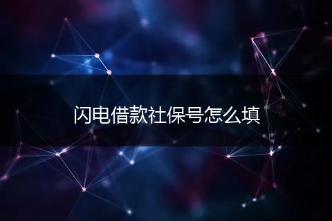 闪电借款社保号怎么填