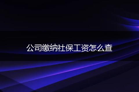 公司缴纳社保工资怎么查