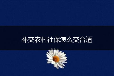 补交农村社保怎么交合适