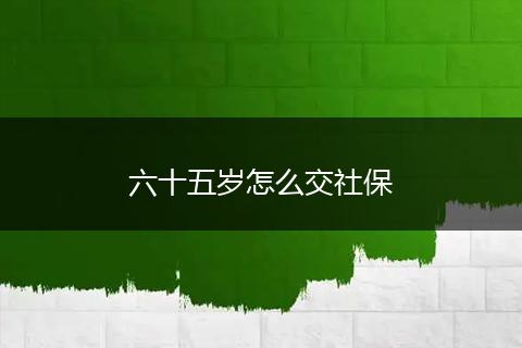 六十五岁怎么交社保