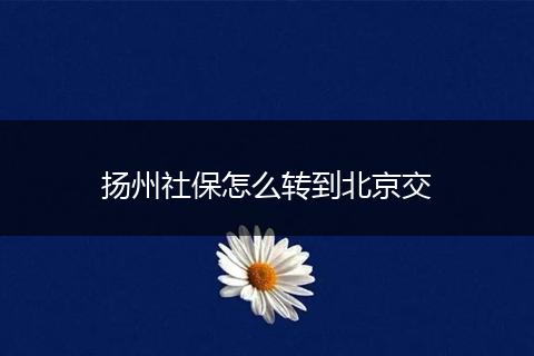 扬州社保怎么转到北京交