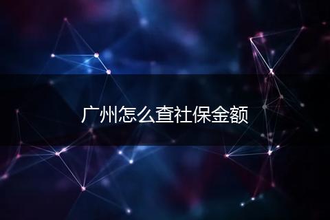 广州怎么查社保金额