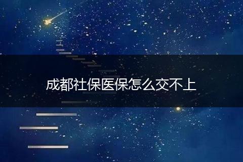 成都社保医保怎么交不上