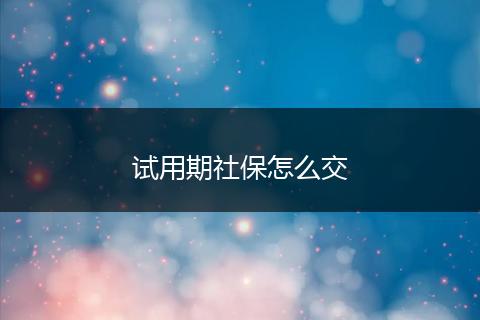 试用期社保怎么交