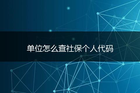 单位怎么查社保个人代码
