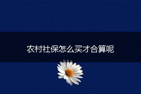 农村社保怎么买才合算呢