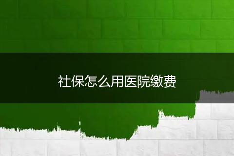 社保怎么用医院缴费