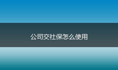 公司交社保怎么使用