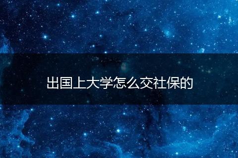 出国上大学怎么交社保的