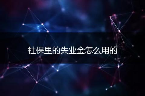 社保里的失业金怎么用的