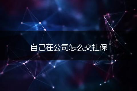 自己在公司怎么交社保