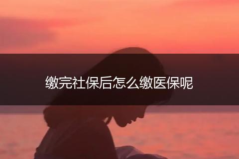 缴完社保后怎么缴医保呢