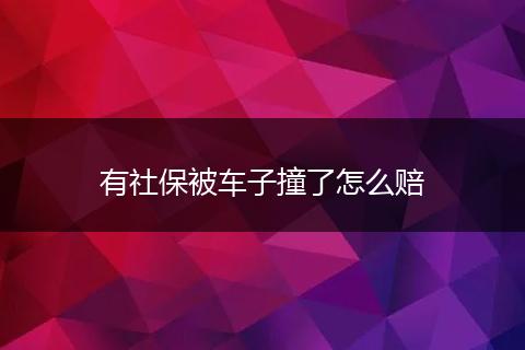 有社保被车子撞了怎么赔