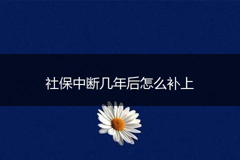 社保中断几年后怎么补上