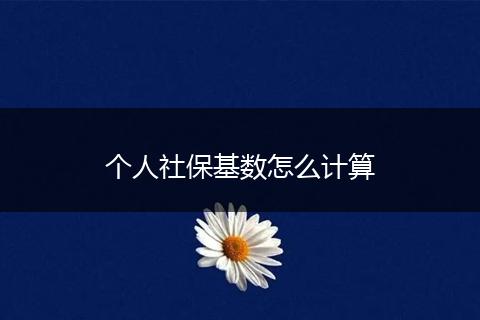 个人社保基数怎么计算