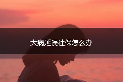 大病延误社保怎么办