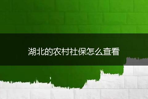 湖北的农村社保怎么查看