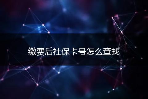 缴费后社保卡号怎么查找