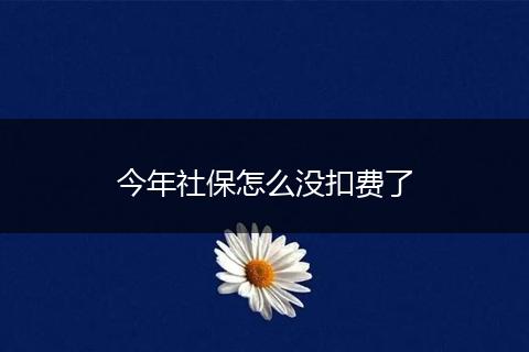 今年社保怎么没扣费了