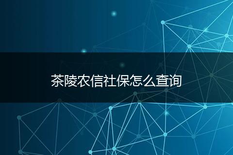 茶陵农信社保怎么查询