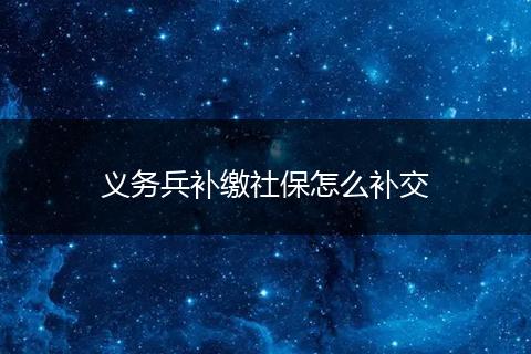 义务兵补缴社保怎么补交